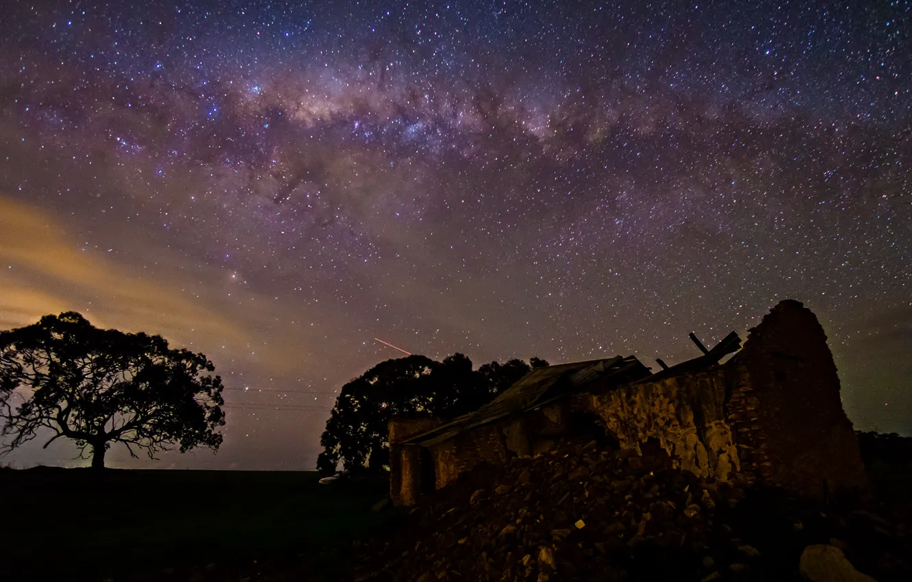 Фото обои космос, звезды, деревья, ночь, пространство, руины, млечный путь