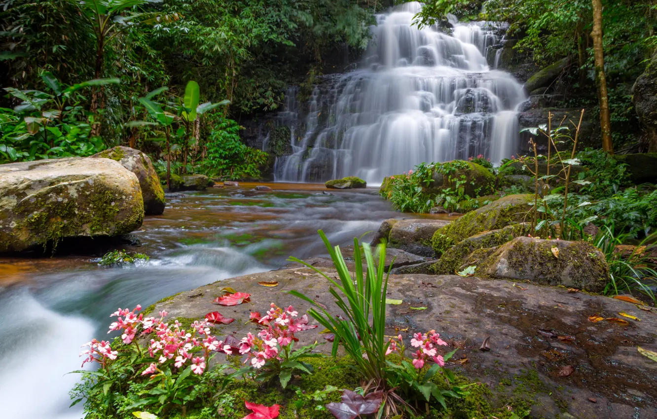 Фото обои лес, пейзаж, цветы, река, скалы, водопад, summer, Тайланд