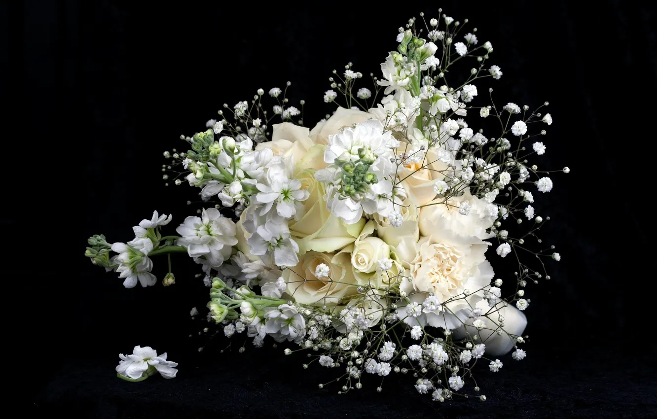 Фото обои цветы, розы, букет, черный фон, белые цветы, гипсофила, нежность лепестков