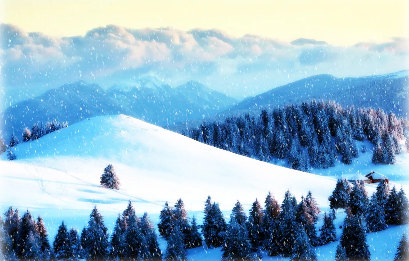 Фото обои зима, лес, снег, горы