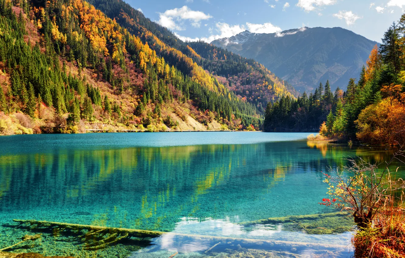 Фото обои осень, лес, солнце, деревья, горы, озеро, красота, Китай