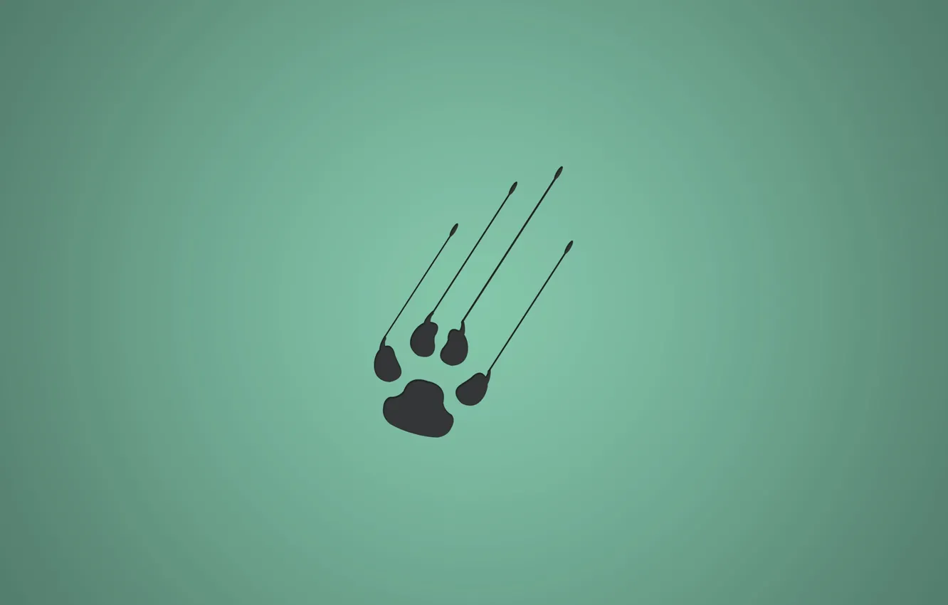 Фото обои minimalistic, animal, paw