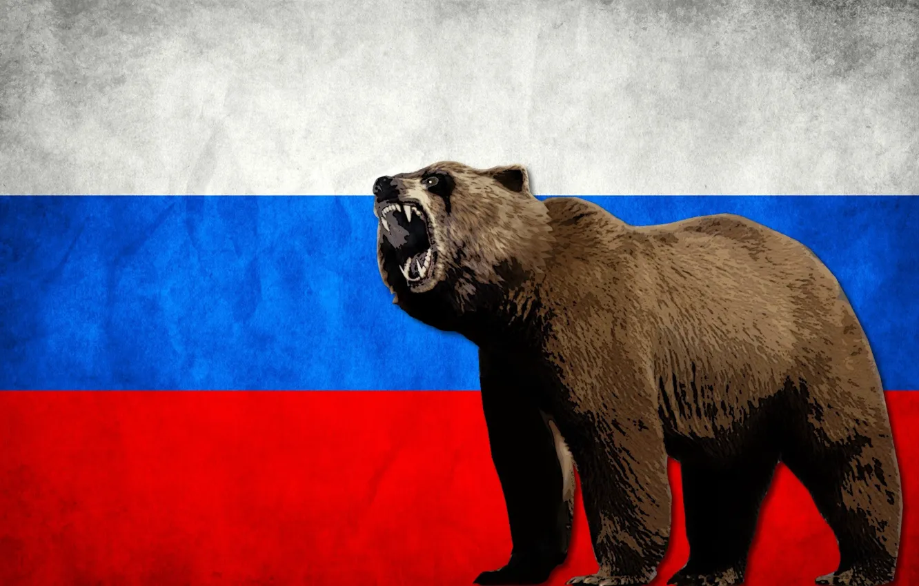 Фото обои Russia, animals, flag, bears, mammals