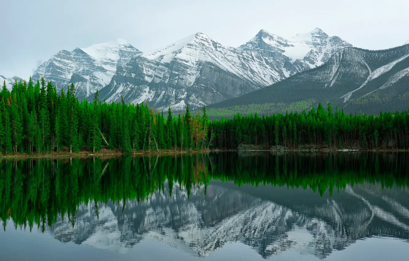 Фото обои горы, озеро, отражение, Banff, Herbert Lake