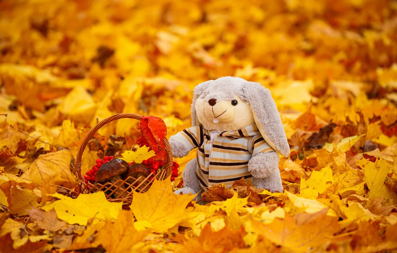 Фото обои осень, листья, игрушка, крзинка