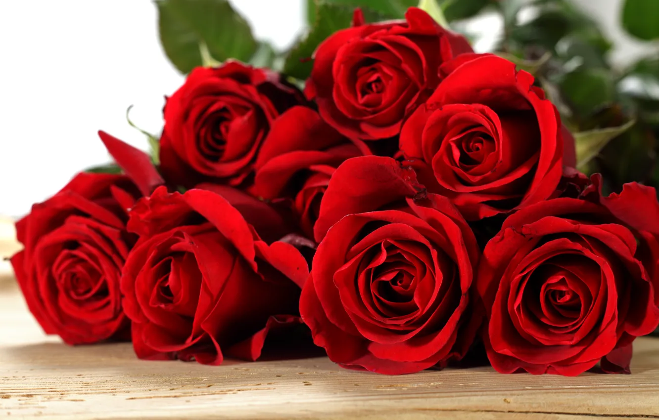Фото обои розы, красные, red, flowers, romantic, roses, with love