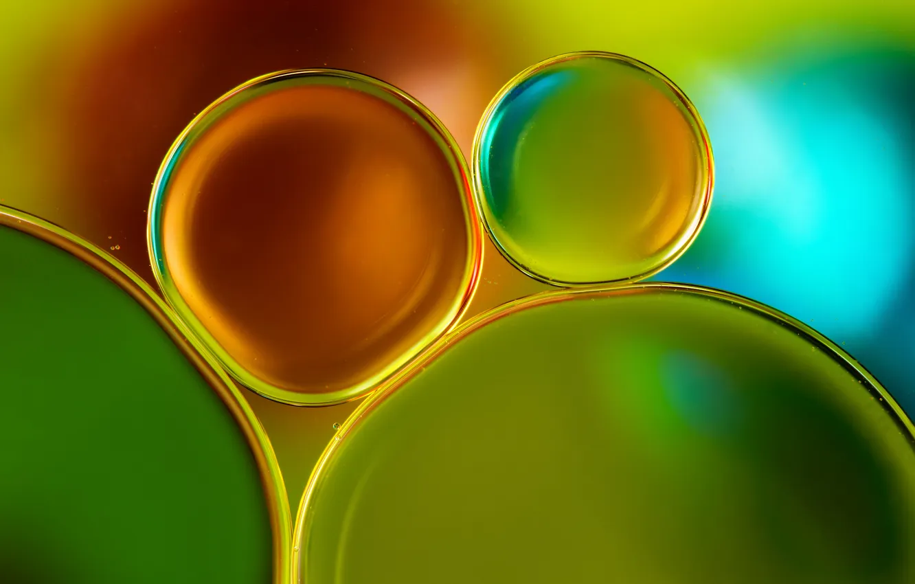 Фото обои вода, макро, пузырьки, цвет, масло, шарик