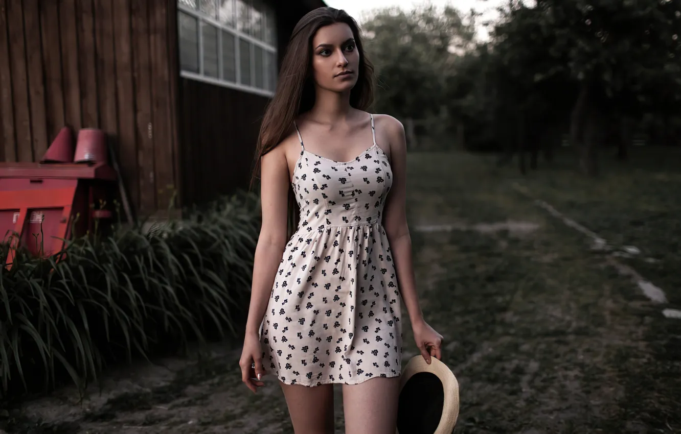 Фото обои взгляд, девушка, ноги, платье