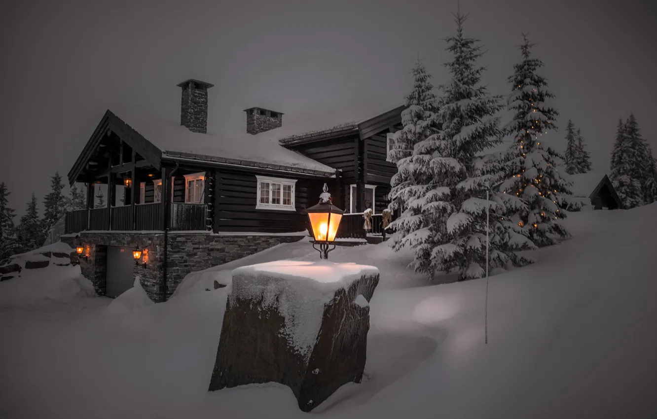 Фото обои зима, свет, снег, деревья, пейзаж, ночь, природа, дом