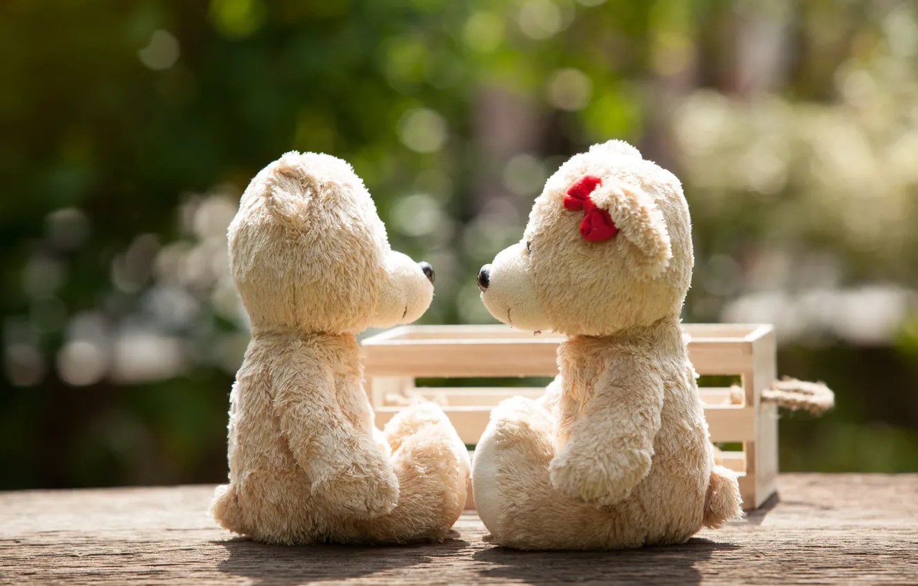 Фото обои любовь, игрушка, медведь, пара, love, bear, park, kiss
