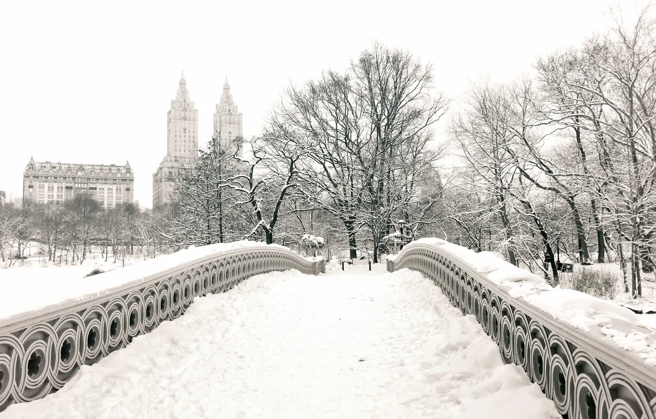 Фото обои зима, снег, деревья, город, парк, здания, дома, Нью-Йорк