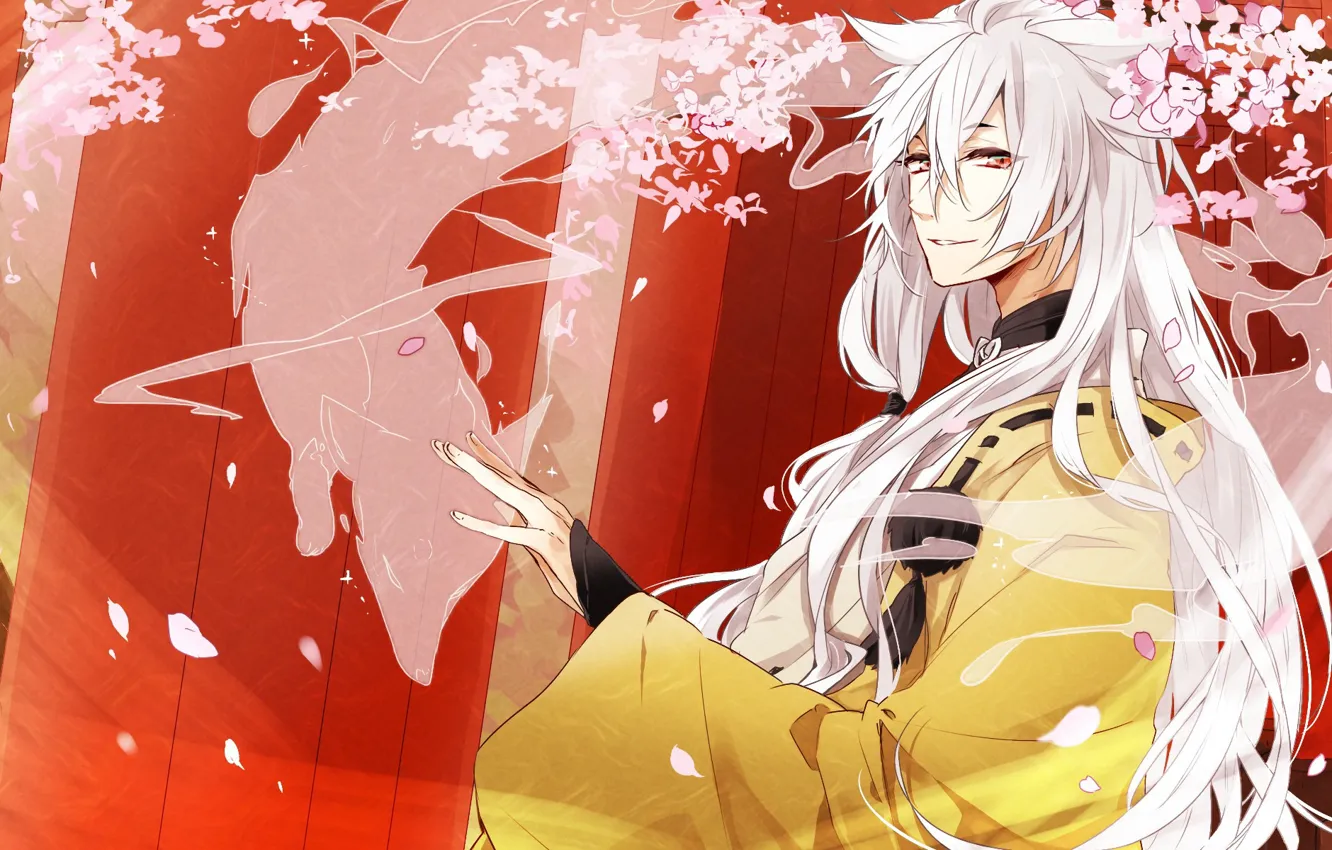 Фото обои японская одежда, лисьи ушки, лепестки сакуры, лис-демон, Touken Ranbu, Kogitsunemaru, длинные белые волосы, ворота тории
