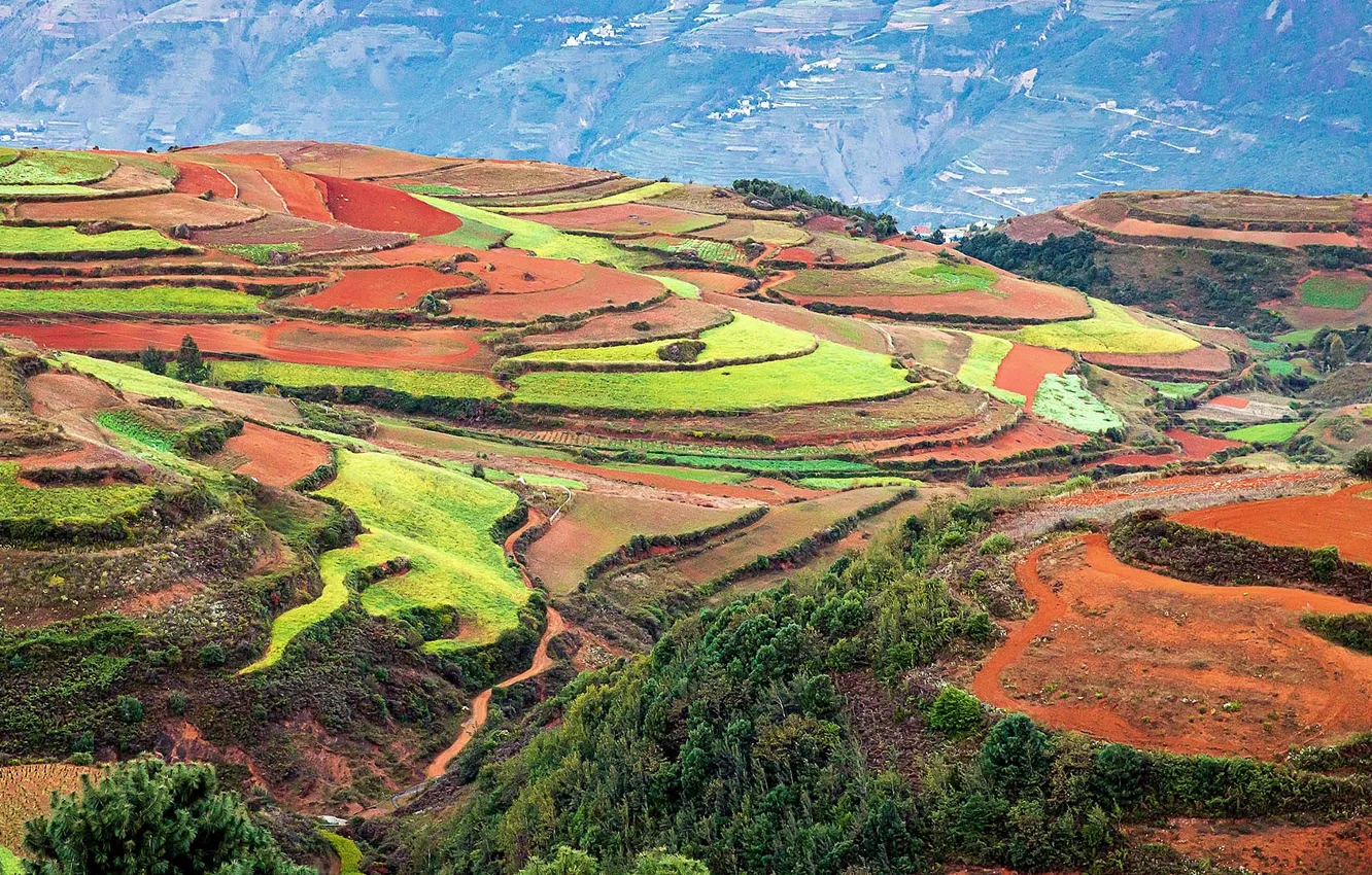 Фото обои China, field, Dongchuan