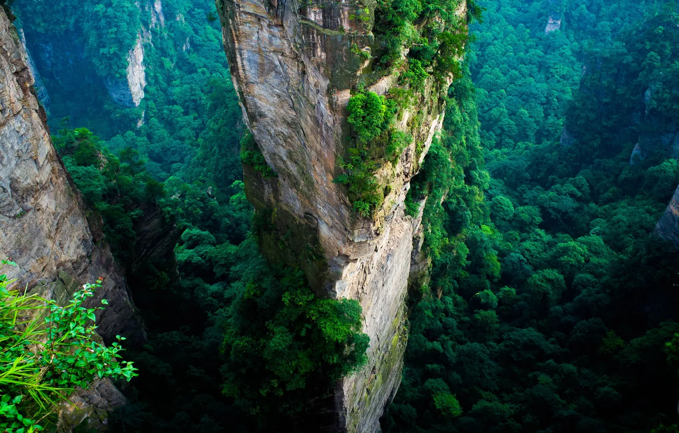 Фото обои горы, выступы, Национальный парк Zhangjiajie