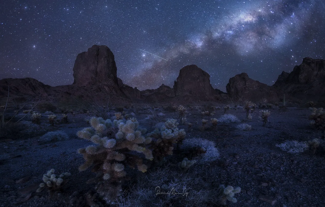 Фото обои небо, звезды, горы, ночь, скалы, пустыня, кактусы, млечный путь