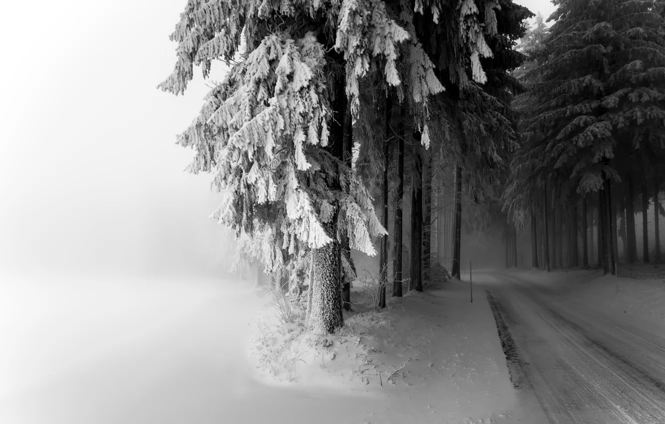 Фото обои зима, дорога, снег, туман