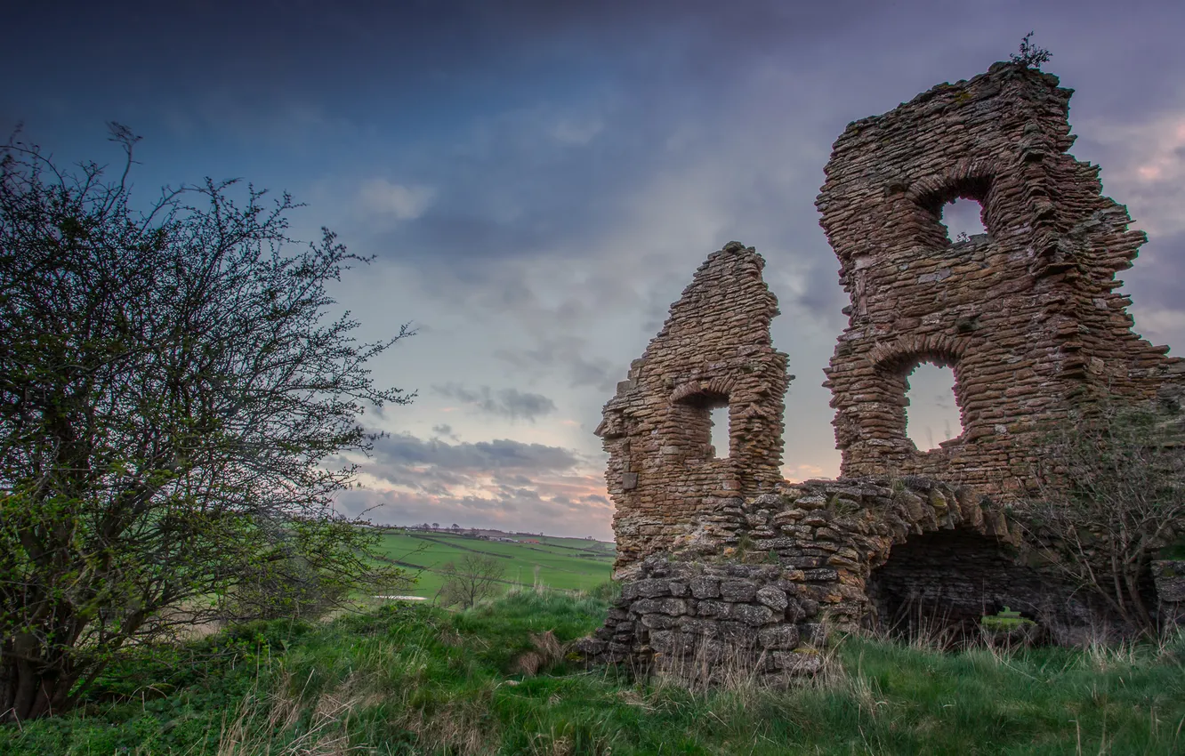 Фото обои дерево, башня, Ludworth Tower