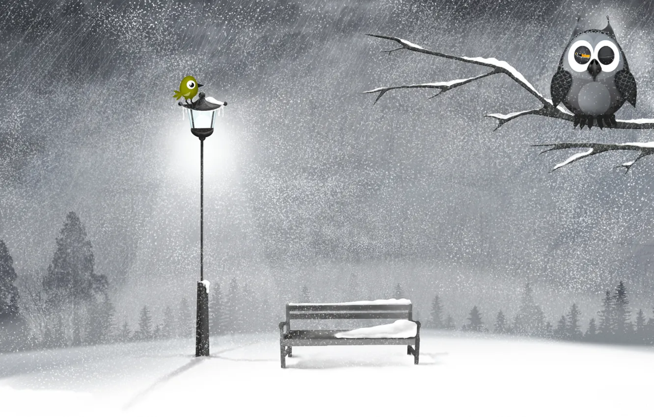 Фото обои зима, снег, ночь, дерево, сова, лавочка, фонарь, птичка
