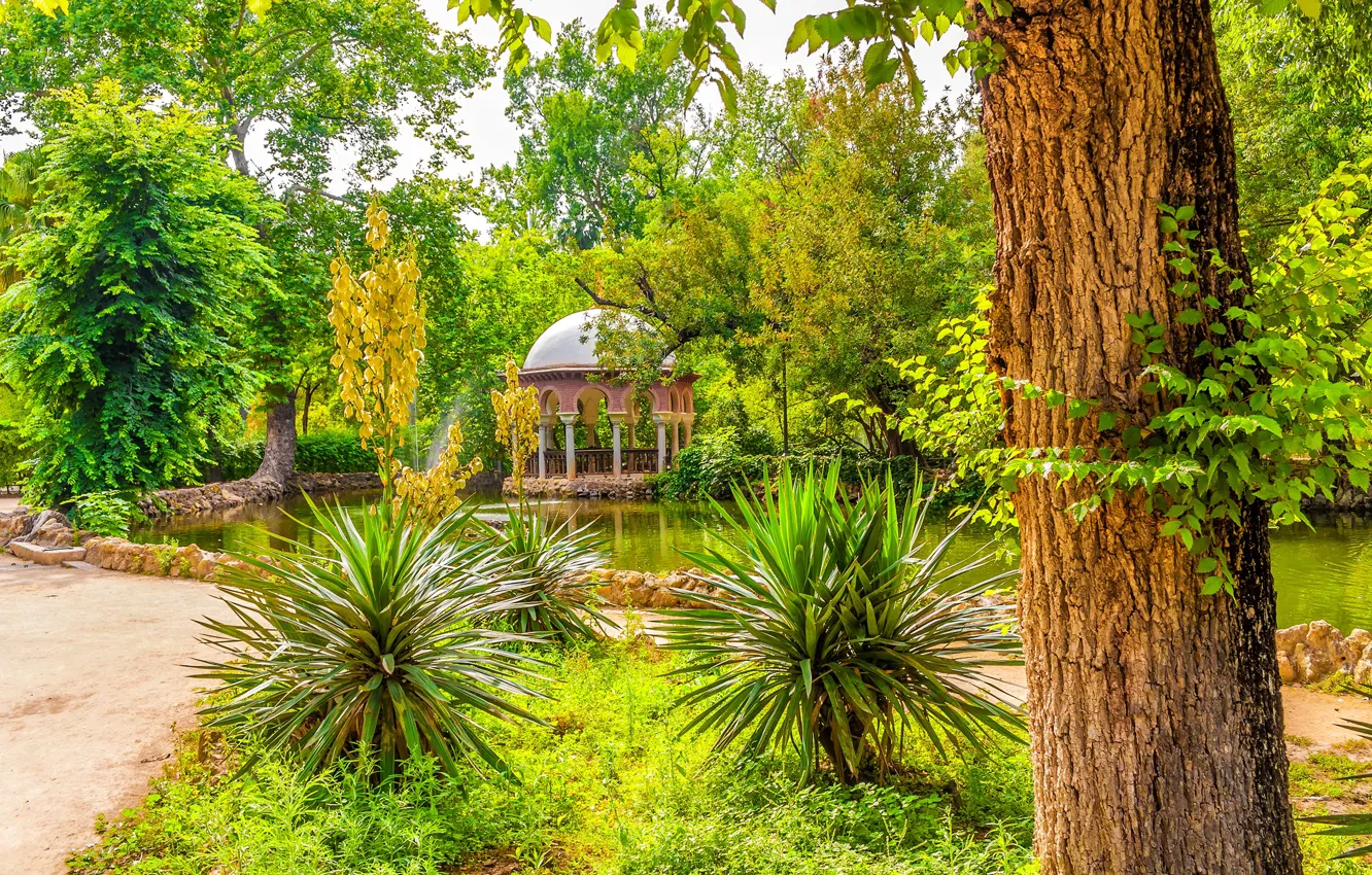 Фото обои зелень, солнце, деревья, пруд, парк, Испания, беседка, Sevilla