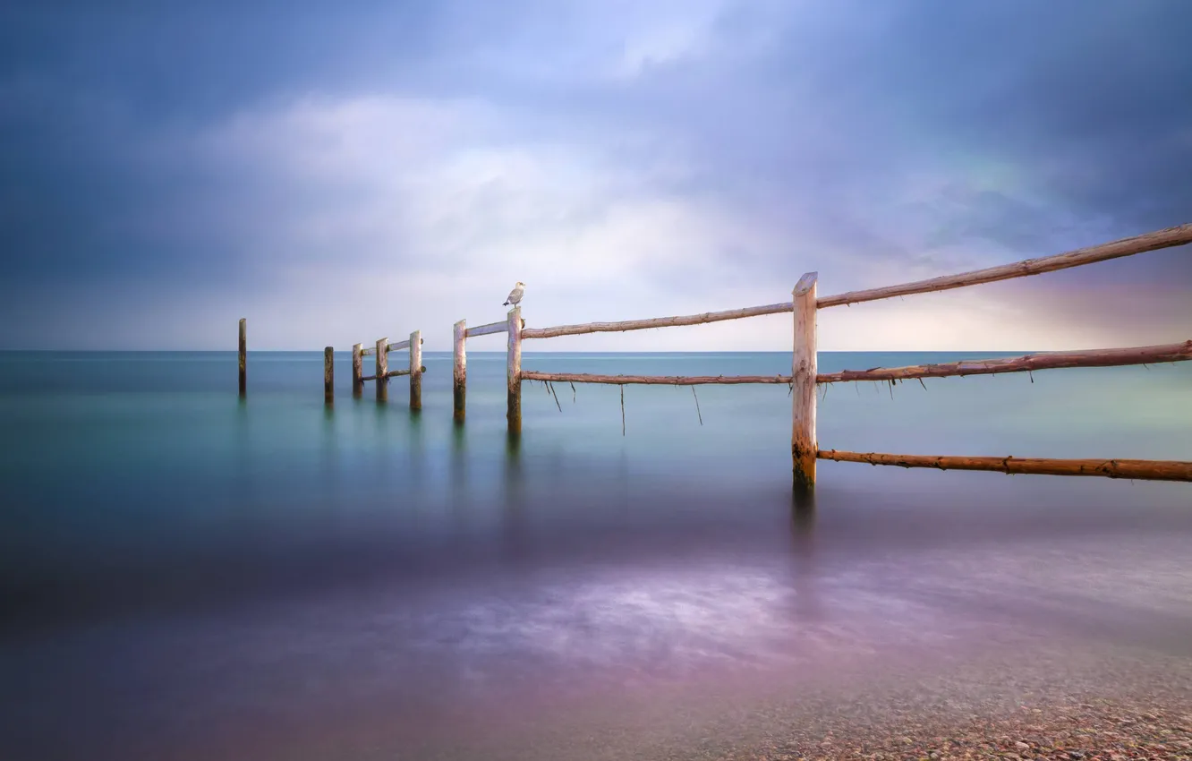 Фото обои sky, sea, landscape, coast, calm, fence, seagull