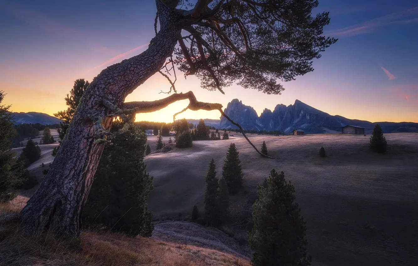 Фото обои закат, горы, дерево, долина