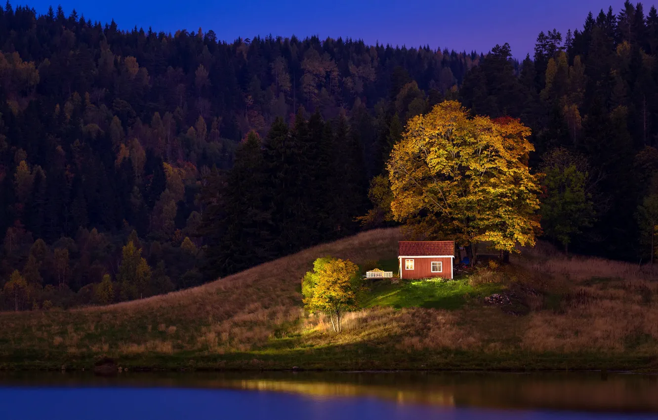 Фото обои лес, трава, деревья, ночь, река, берег, Норвегия, домик