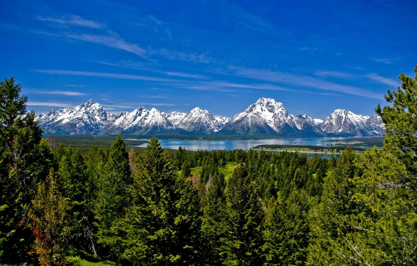 Фото обои снег, озеро, Горы, Вайоминг, USA, Wyoming, деревья., Тетон