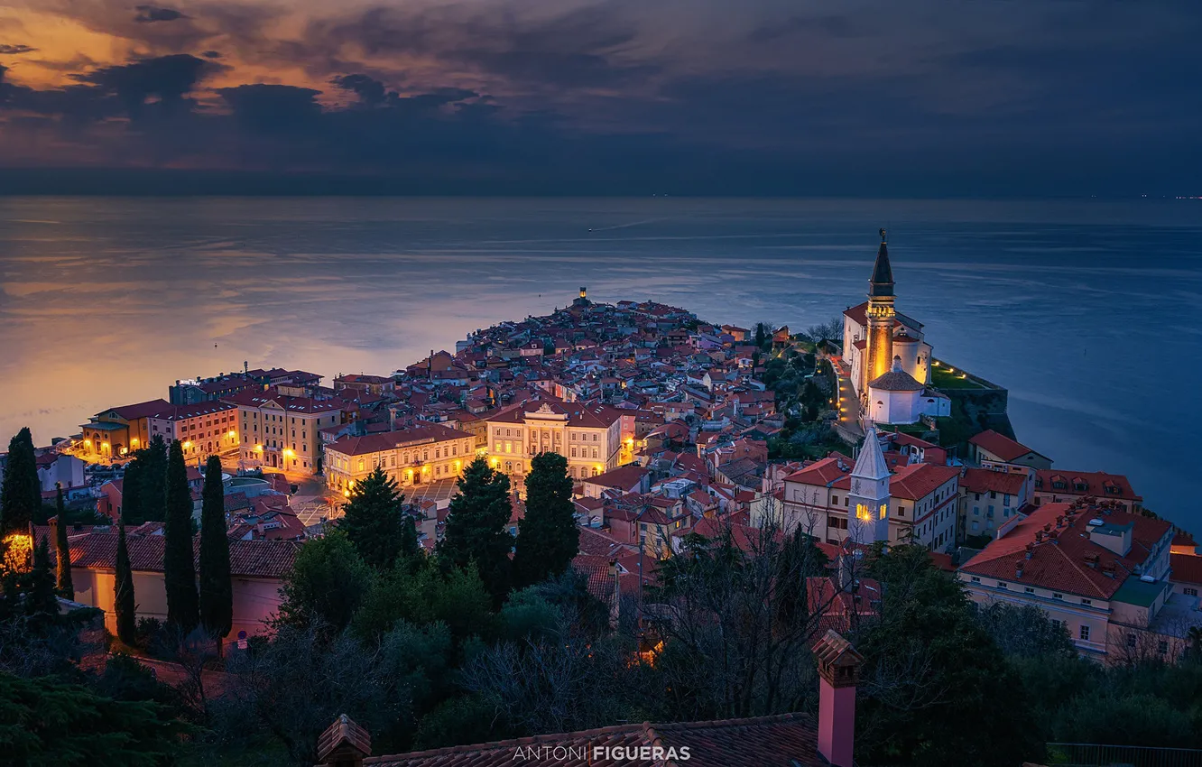 Фото обои море, деревья, здания, дома, панорама, ночной город, Пиран, Словения