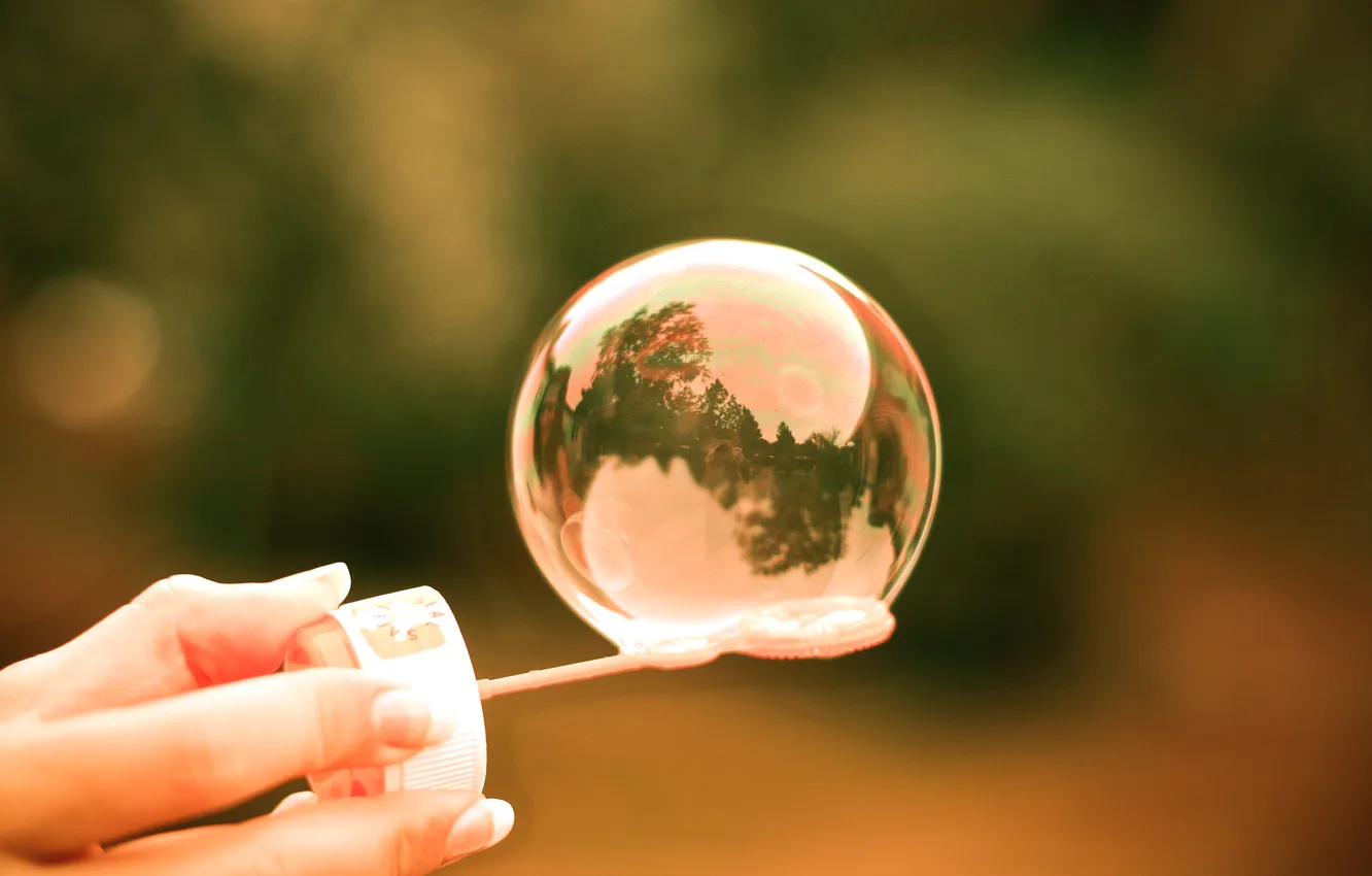 Фото обои art, fragile, soap bubble