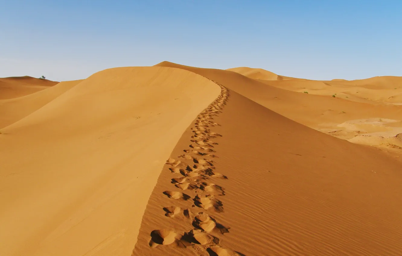 Фото обои Природа, Пустыня, Следы, Nature, Desert