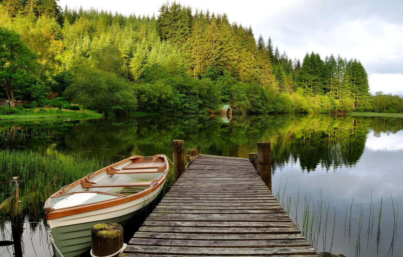 Фото обои лес, небо, деревья, озеро, лодка, мостик