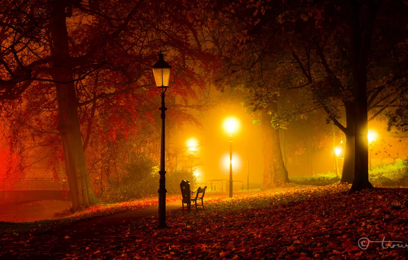 Фото обои осень, свет, деревья, скамейка, ночь, мост, парк, сумрак