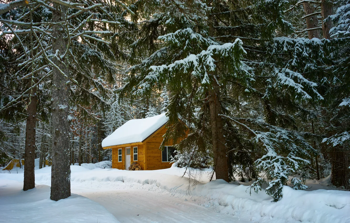 Фото обои зима, дорога, крыша, лес, снег, ветки, природа, уют