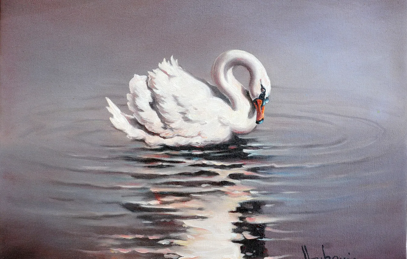 Фото обои белый, вода, отражение, лебедь, живопись