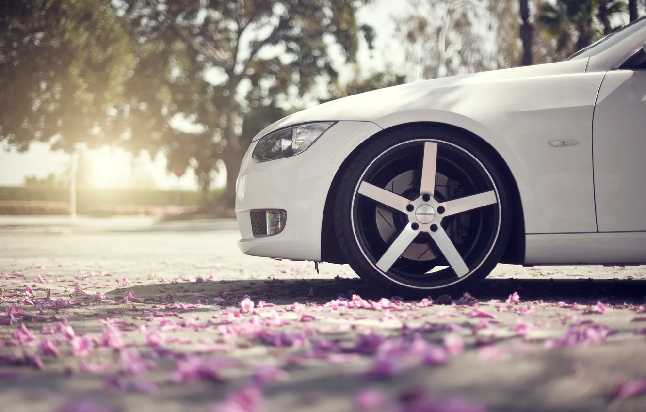 Фото обои асфальт, макро, блики, весна, лепестки, колесо, BMW, нос