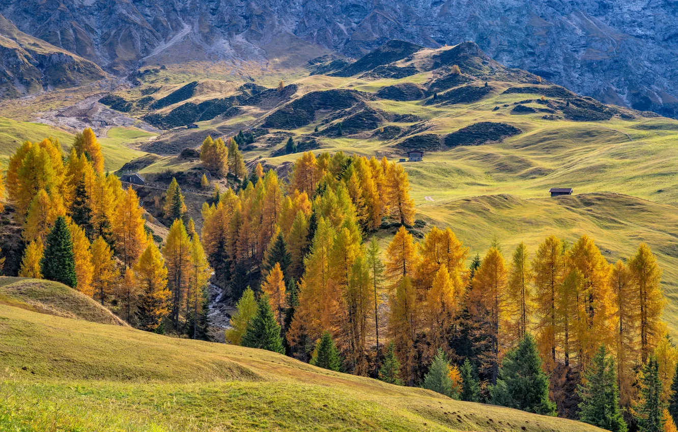 Фото обои Природа, Горы, Осень, Деревья, Италия, Dolomites