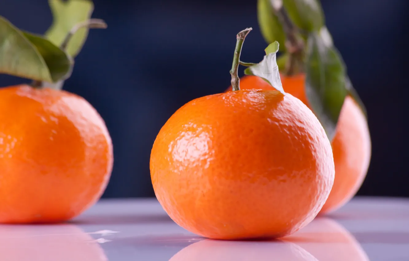 Фото обои макро, цитрус, фрукты, мандарины