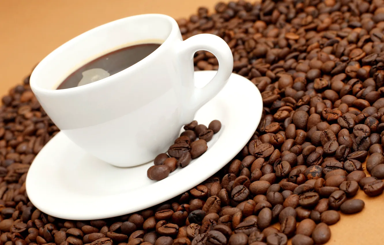 Фото обои кофе, зерна, чашка, белая, блюдце, coffee