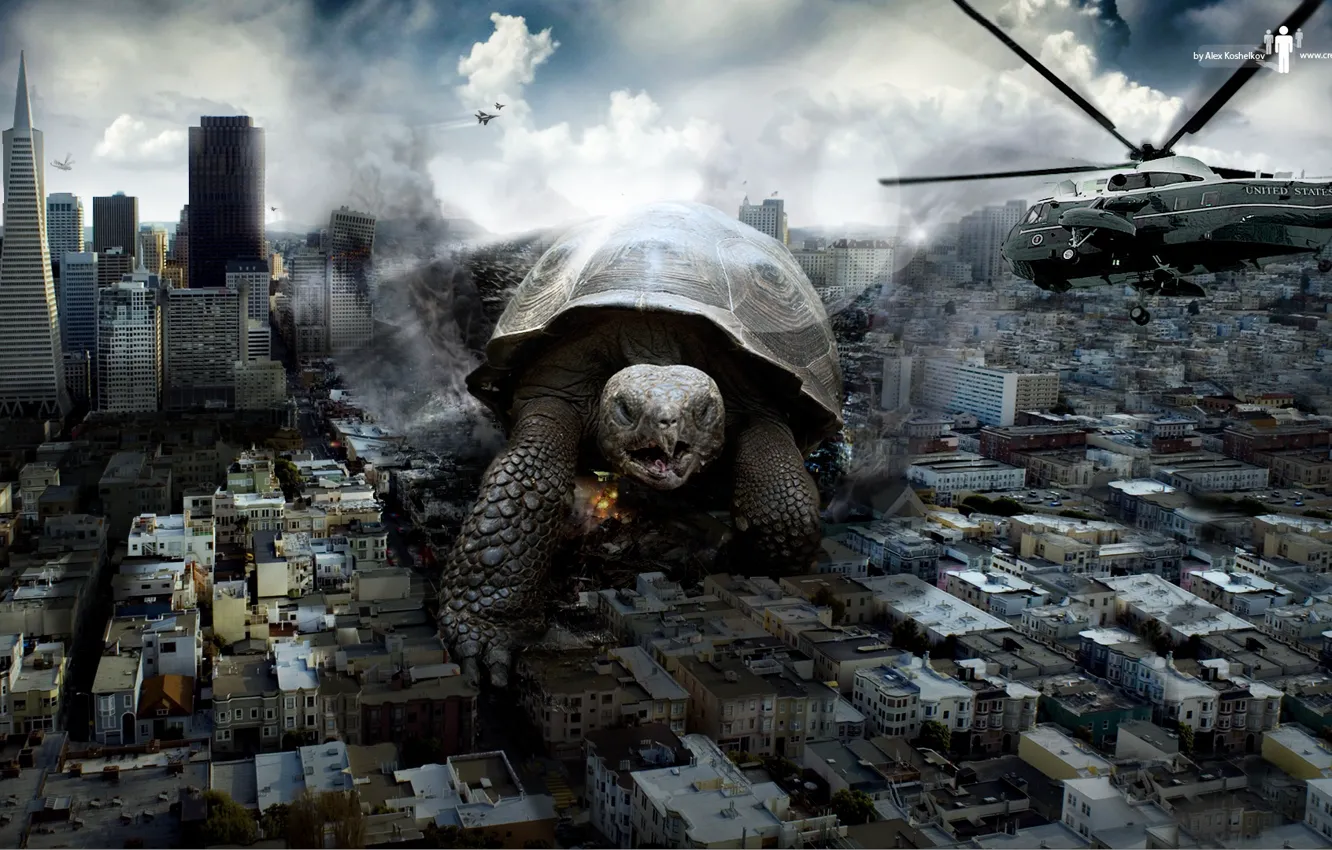 Фото обои город, здания, черепаха, разрушение, вертолёт, turtle attacking