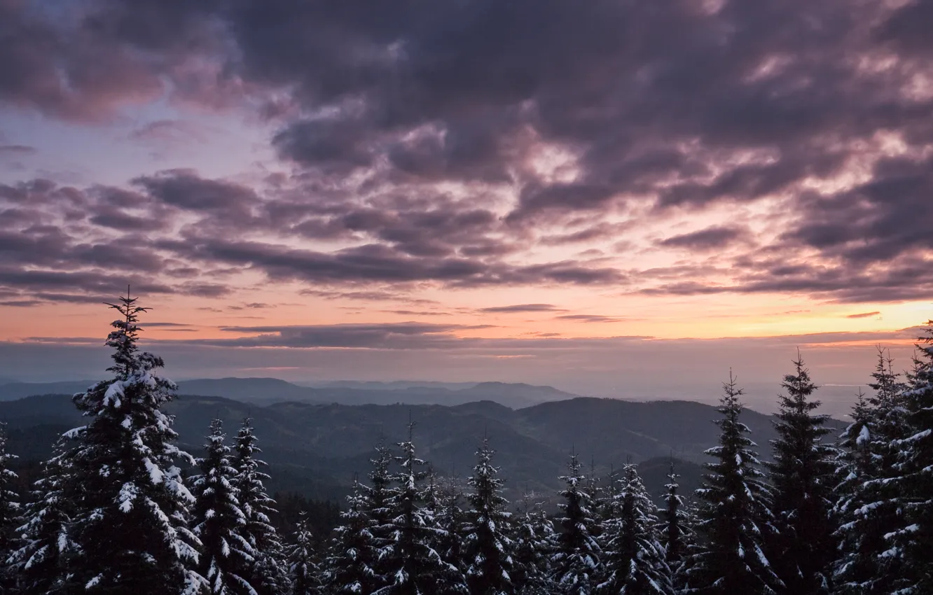 Фото обои зима, небо, снег, деревья, горы, природа, дерево, ветер