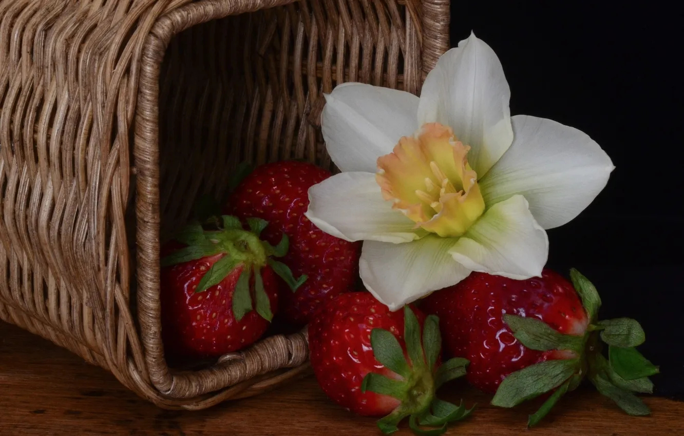 Фото обои цветок, ягоды, корзина, клубника, нарцисс
