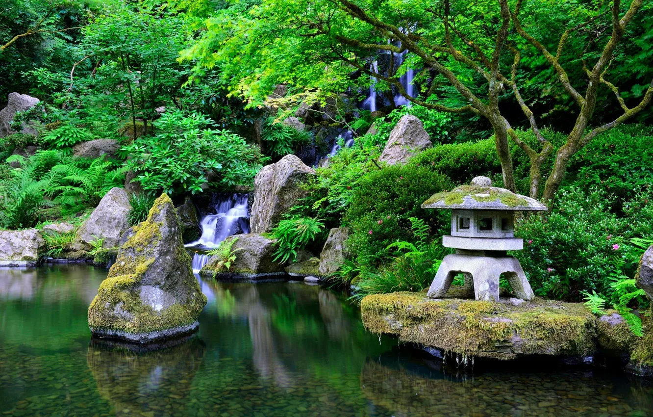 Фото обои зелень, вода, камни, Япония, сад