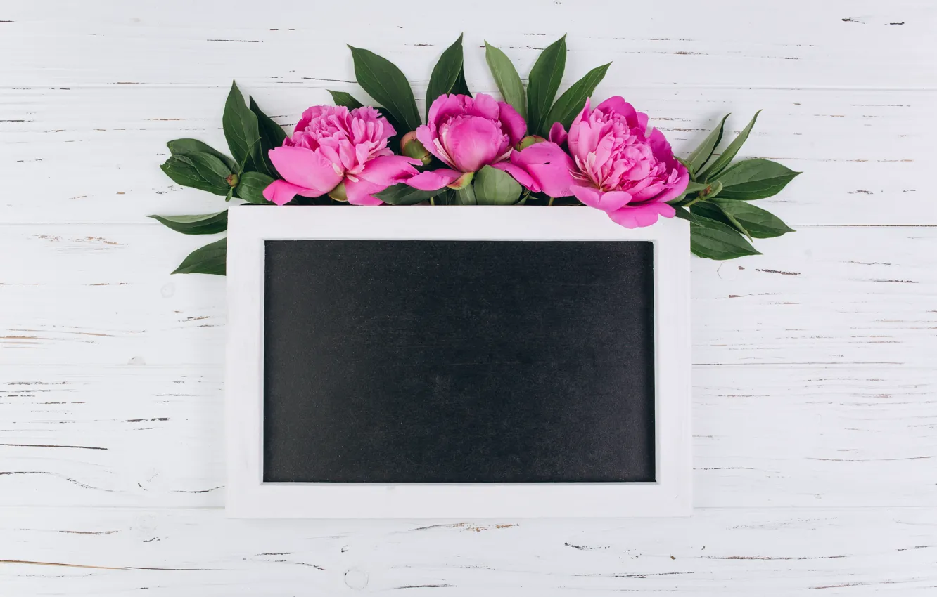Фото обои цветы, рамка, розовые, wood, pink, flowers, пионы, peonies
