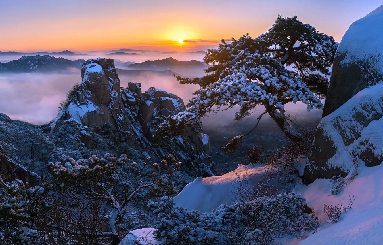 Фото обои зима, солнце, снег, деревья, горы, скалы