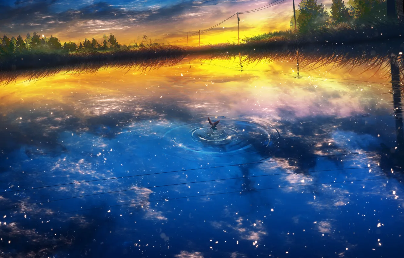 Фото обои вода, закат, природа, чайка, by Y_Y