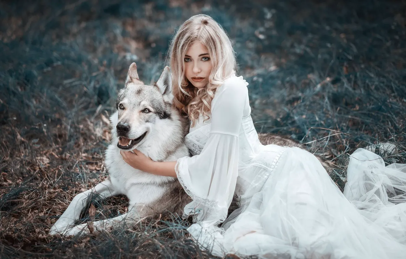 Фото обои девушка, волк, платье, друзья, Cessy We