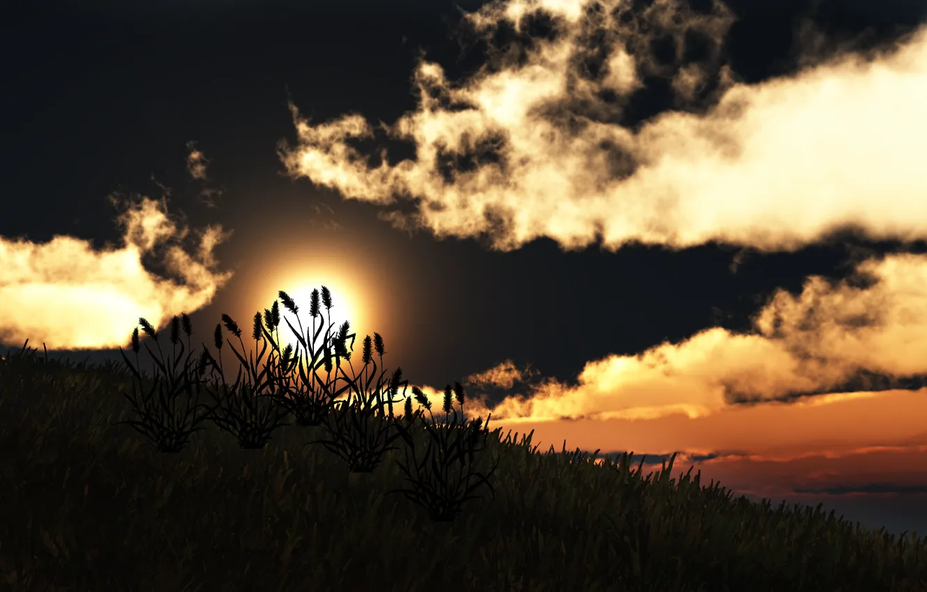 Фото обои трава, солнце, облака, закат, природа, холм, арт, силуэты