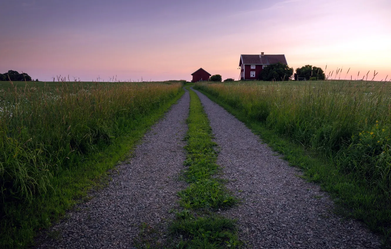 Фото обои дорога, поле, пейзаж, закат, дом