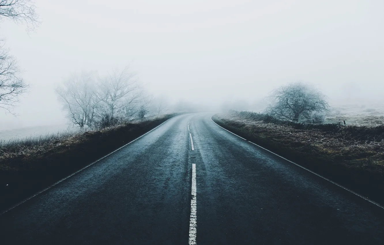 Фото обои иней, дорога, деревья, туман