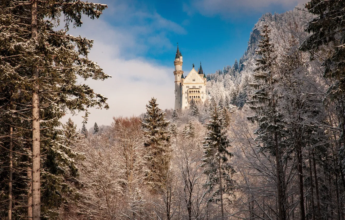 Фото обои зима, лес, деревья, замок, Германия, Бавария, Germany, Bavaria